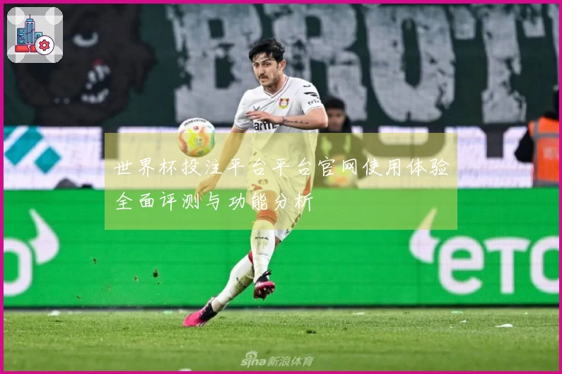 世界杯投注平台平台官网使用体验全面评测与功能分析