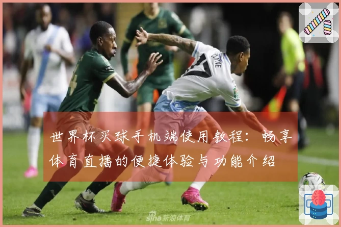 世界杯买球手机端使用教程：畅享体育直播的便捷体验与功能介绍
