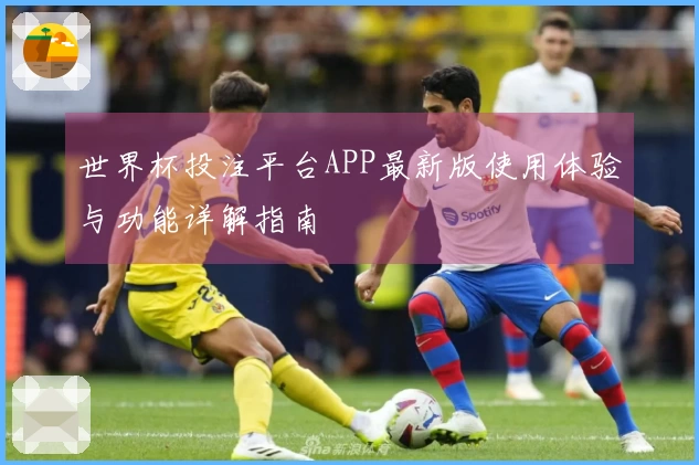 世界杯投注平台APP最新版使用体验与功能详解指南