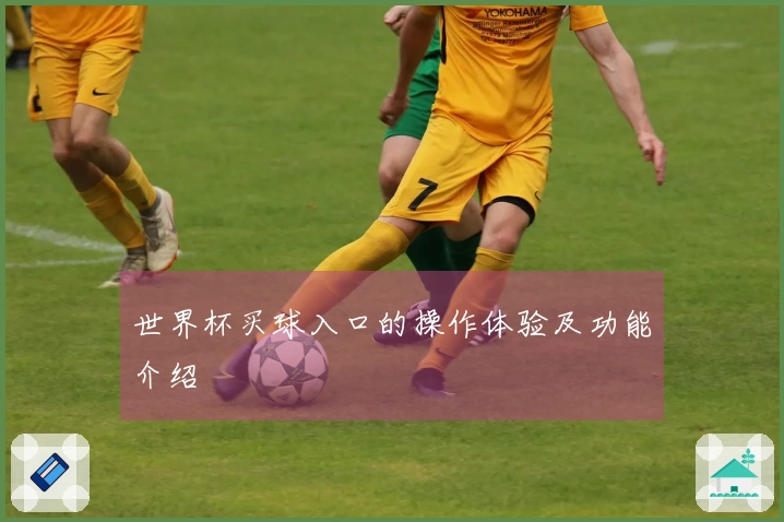 世界杯买球入口的操作体验及功能介绍