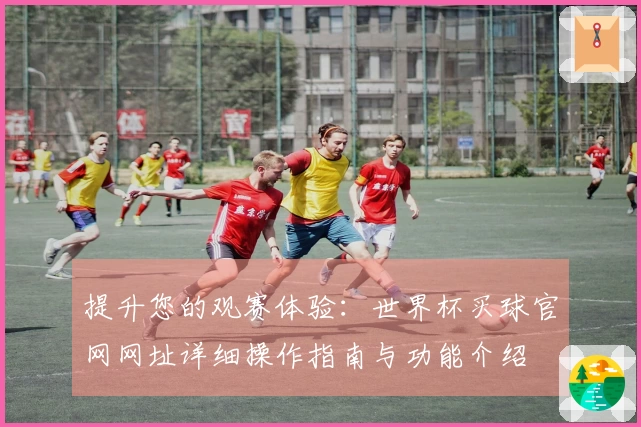 提升您的观赛体验：世界杯买球官网网址详细操作指南与功能介绍