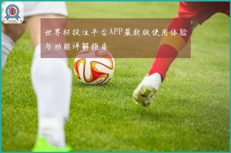 世界杯投注平台APP最新版使用体验与功能详解指南