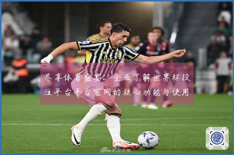 尽享体育盛宴：全面了解世界杯投注平台平台官网的核心功能与使用体验